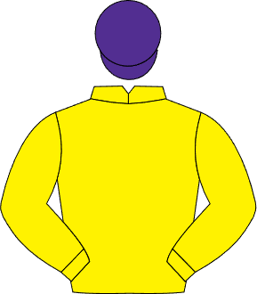 Clonanny Racing silks &mdash; yellow with purple cap
